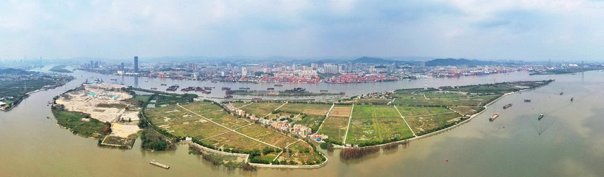 区势观察丨广州春天遍地开放的不仅是花还有这些重大项目(图14)