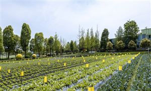 2024OLED行业深度调研及投资：OLED行业将继续保持快速增长的态势(图7)