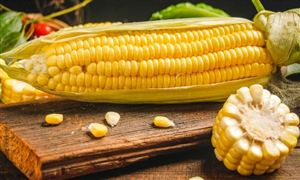 2024年LED照明行业的竞争格局分析及重点企业情况(图3)