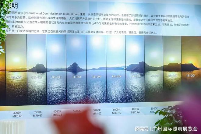 2024年光亚展规模创历史新高汇聚行业光无限共燃光热爱！(图3)