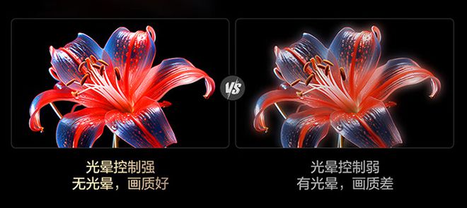 2024年MiniLED电视推荐TCL超旗舰Q10KPro视听体验太炸裂(图4)