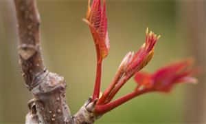 2024LED行业发展现状及市场规模、前景分析(图2)