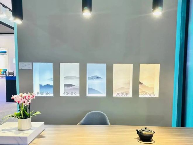 专访朗明纳斯：以高品质LED光源全方位服务照明市场(图5)