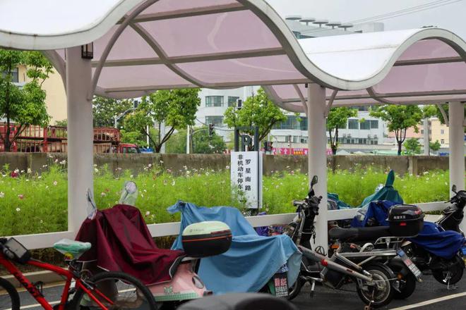 金山新增一处非机动车停车场！就在这个汽车站附近→(图3)