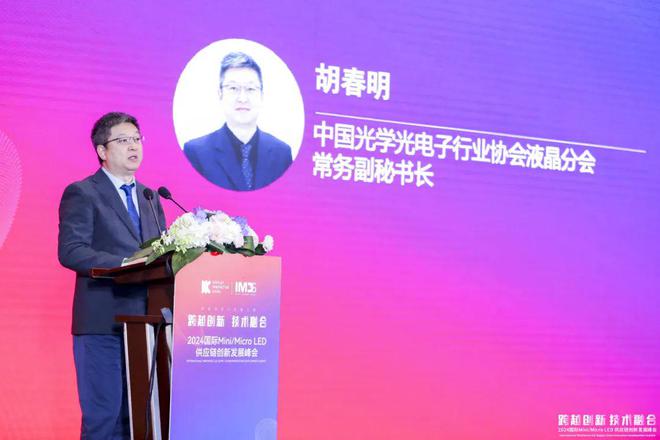第四届国际MiniMicroLED供应链创新发展峰会(IMDS2024)成功举办(图3)
