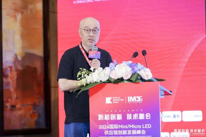 第四届国际MiniMicroLED供应链创新发展峰会(IMDS2024)成功举办(图9)