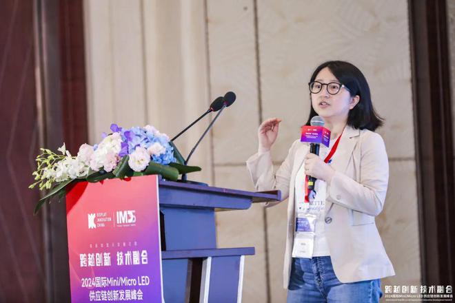 第四届国际MiniMicroLED供应链创新发展峰会(IMDS2024)成功举办(图10)