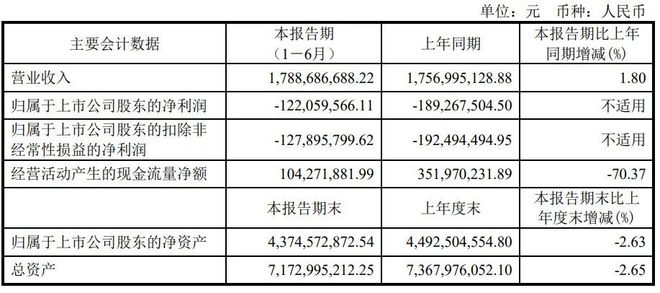 三安京东方木林森利亚德等12企公布2024半年报(图7)