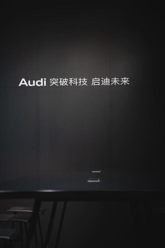 单项PK王：世界上只有两种车灯一种是奥迪一种是其他(图22)