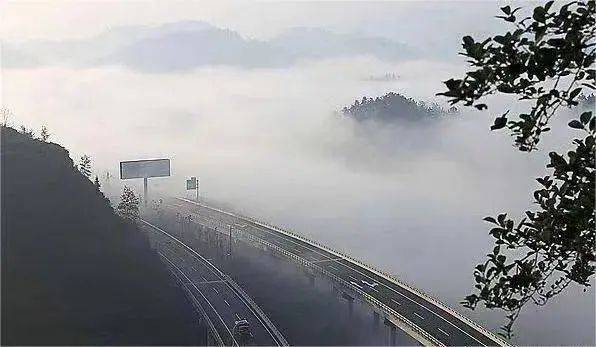 秋冬“团雾”来袭高速公路如何安全行车？技巧大揭秘！(图2)