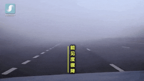 秋冬“团雾”来袭高速公路如何安全行车？技巧大揭秘！(图3)