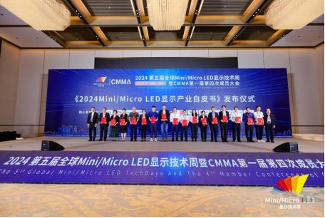 《2024MiniMicroLED显示产业白皮书》发布厦门质检院贡献智慧力量(图3)