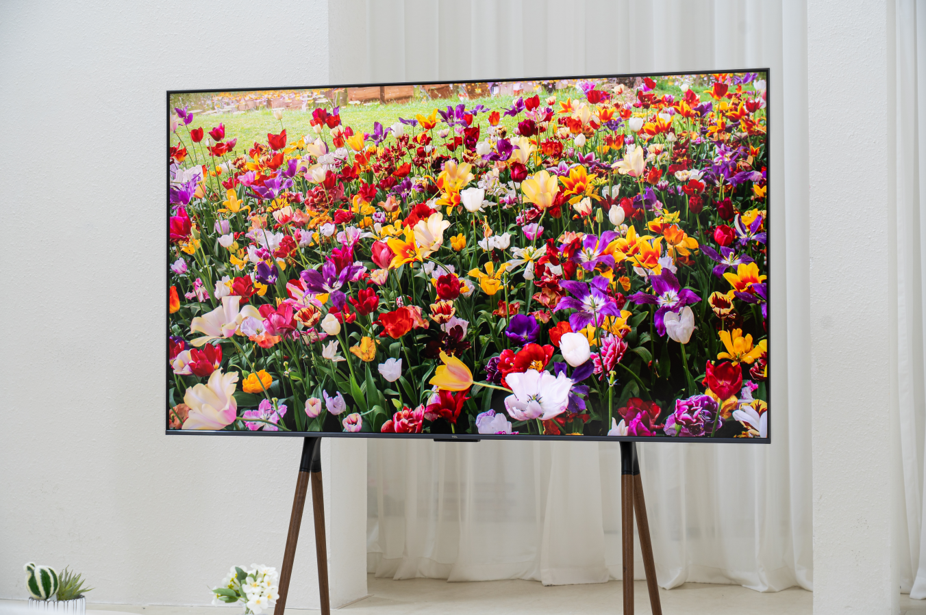 高端MiniLED电视怎么选？含2024热门爆款推荐(图5)