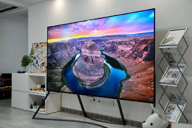 进击的国产品牌超大的电视尺寸！2024年电视行业简单回顾(图6)
