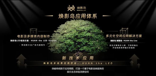 复盘龙头2024“战绩”洞悉显示产业潮水流向(图5)