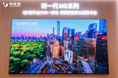 复盘龙头2024“战绩”洞悉显示产业潮水流向(图7)