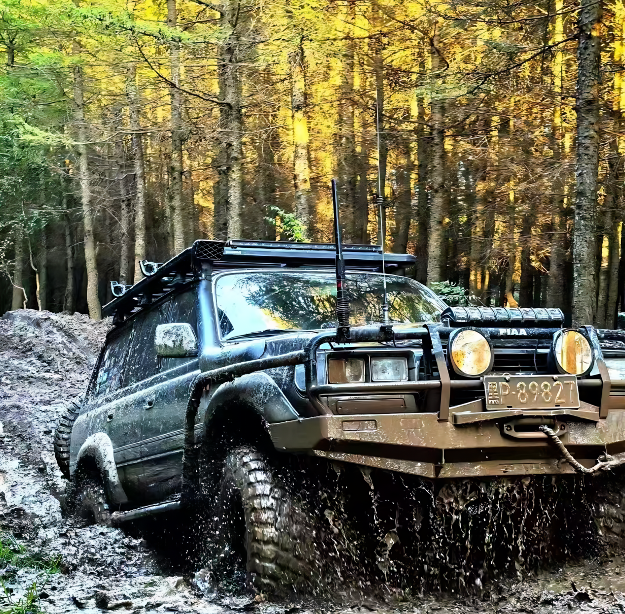 小天山立足资源禀赋深化多产业融合发展(图6)