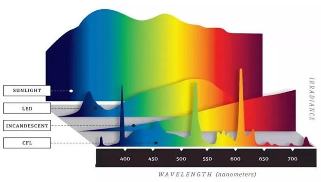 年度盘点八大关键词勾勒出照明行业的2024(图2)