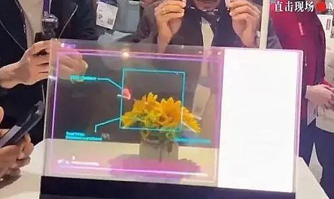 2024年MiniMicroLED应用技术趋势总结：期待与创新共舞(图7)