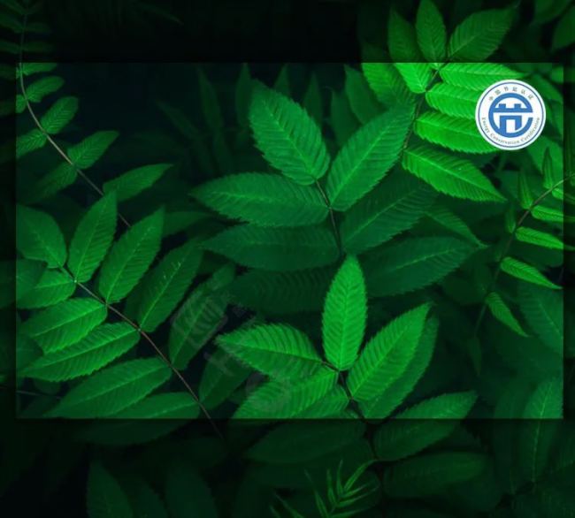 以行业标准为尺AOCCOBLED显示屏如何丈量智慧城市未来？(图4)