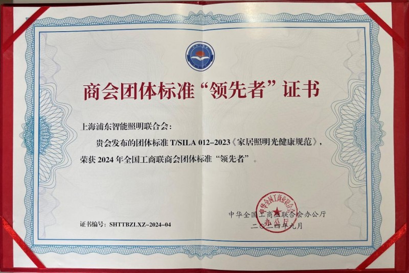 立足新起点践行新理念奋力开拓新局面—上海浦东智能照明联合会2024年工作总结及2025年工作要点(图9)