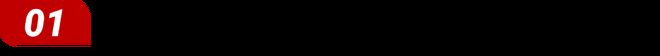 车用照明：国产LED企业盈利法宝？(图2)