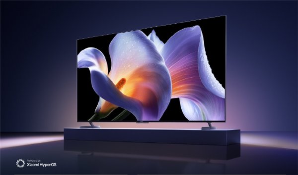 2024年中国MiniLED电视大火：销量暴增5倍