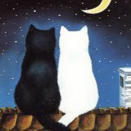 简述汽车照明系统的基本组成(图2)