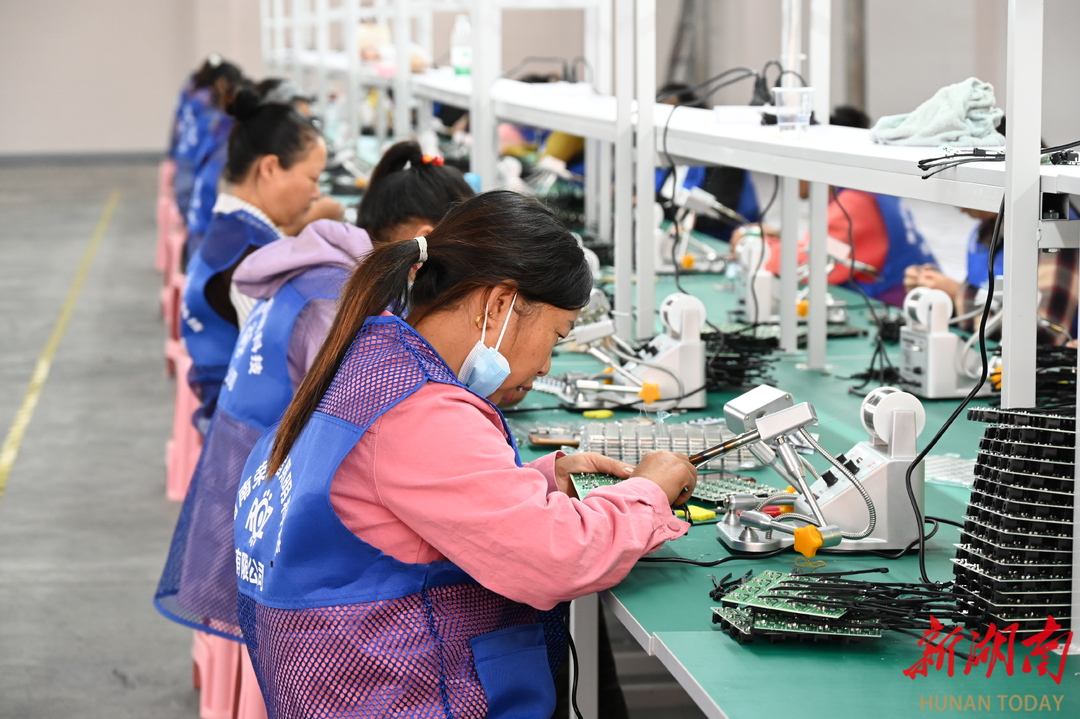 麻阳板栗树乡一就业帮扶车间开工惠及周边三地群众(图2)