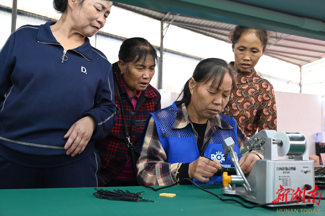 麻阳板栗树乡一就业帮扶车间开工惠及周边三地群众(图4)
