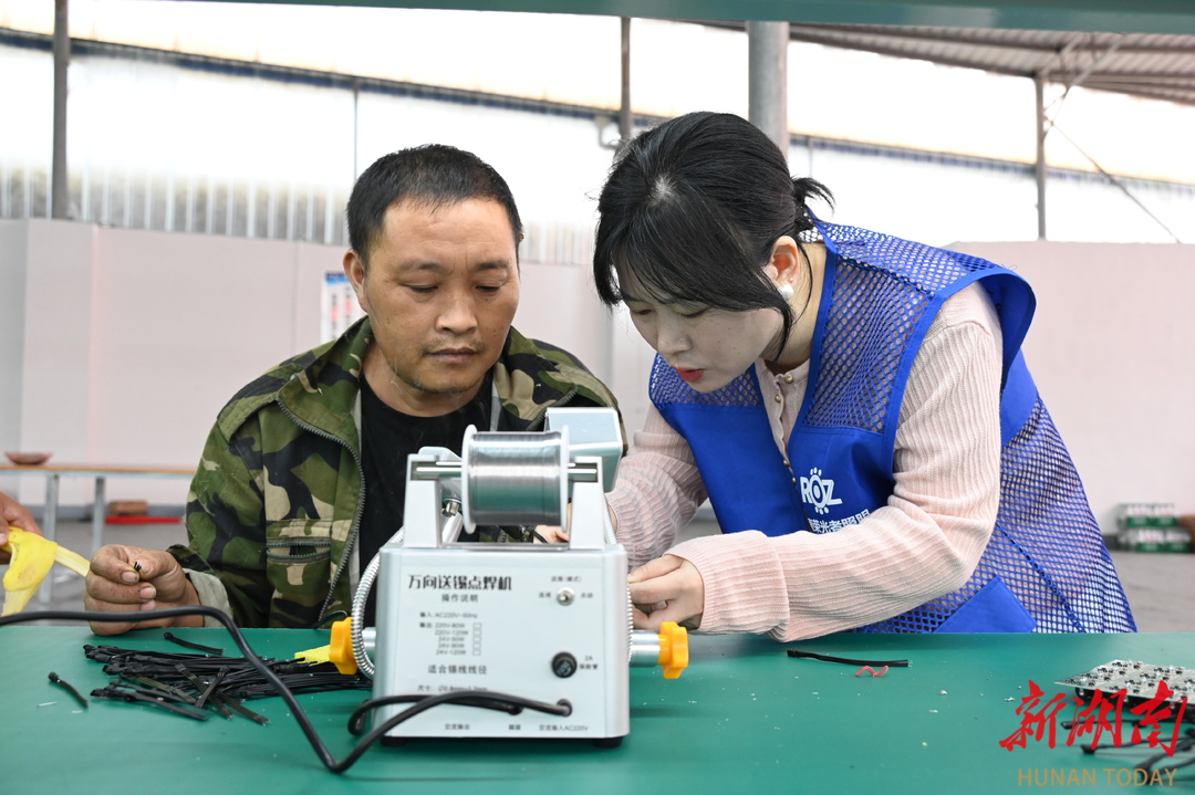 麻阳板栗树乡一就业帮扶车间开工惠及周边三地群众(图3)