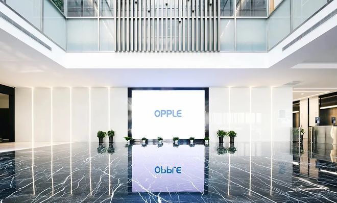 上半年营收前十！市场承压之下头部LED照企都在担忧什么？(图6)