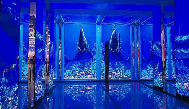 两个百亿落地惠科为何在LED直显上开启“豪赌”模式(图4)