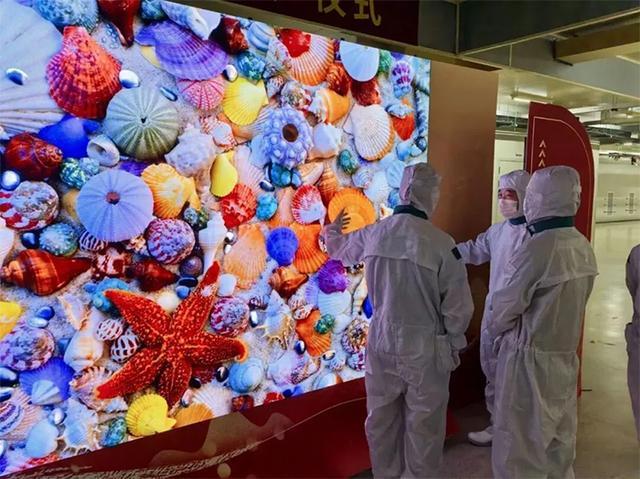 京东方、华星、惠科等头部液晶面板大厂加速入局LED行业COB成热点Q3小间距LED显示屏出货面积增长388%(图8)