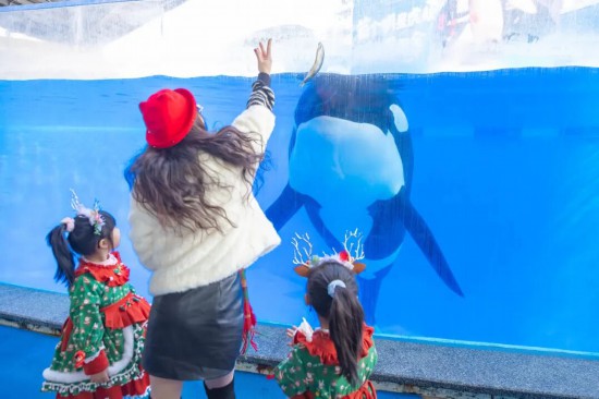 元旦来上海！百项重点演出、展览、景点等你来(图34)