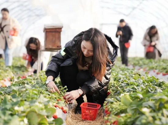 元旦来上海！百项重点演出、展览、景点等你来(图17)