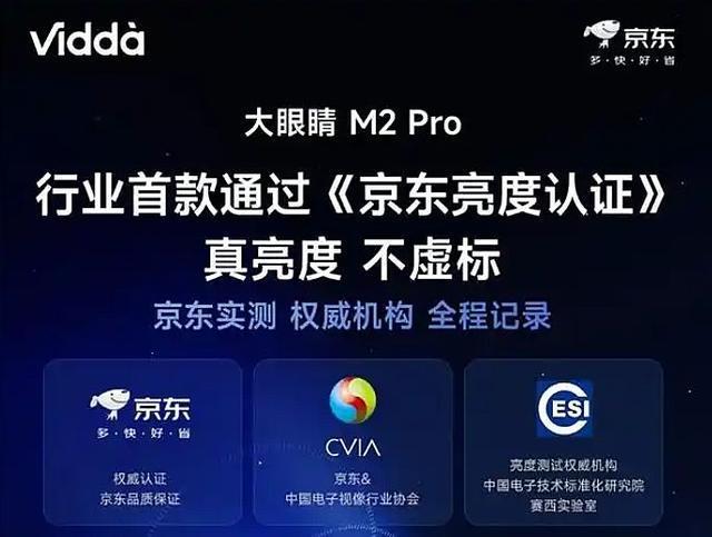 2025年投影产业总结：新技术、新需求、新理念——在低谷中进行结构性升级(图10)