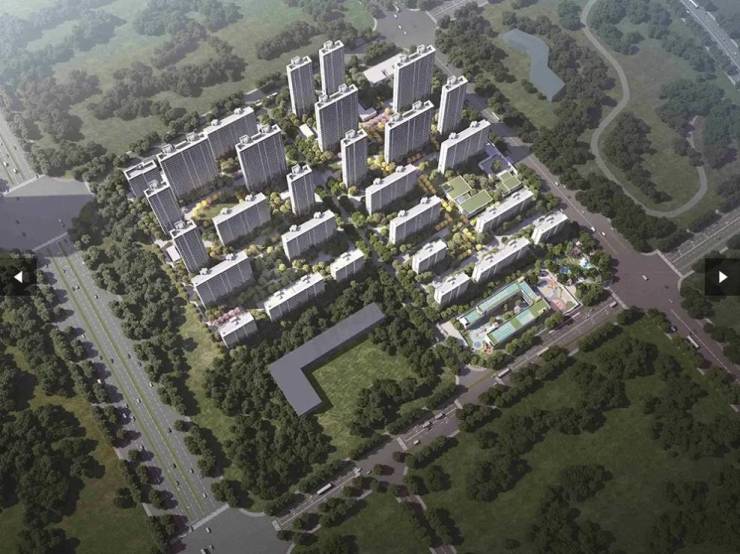 望雲项目分销佣金有多少