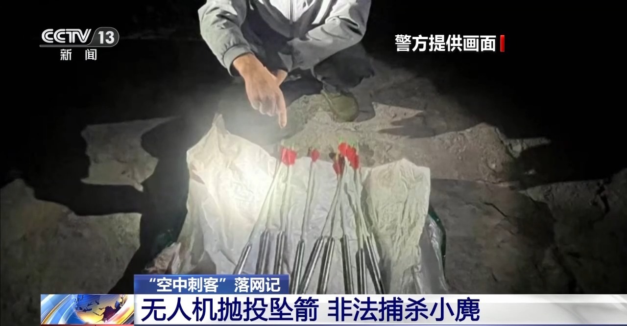 改装无人机非法狩猎野生动物法院判了(图3)